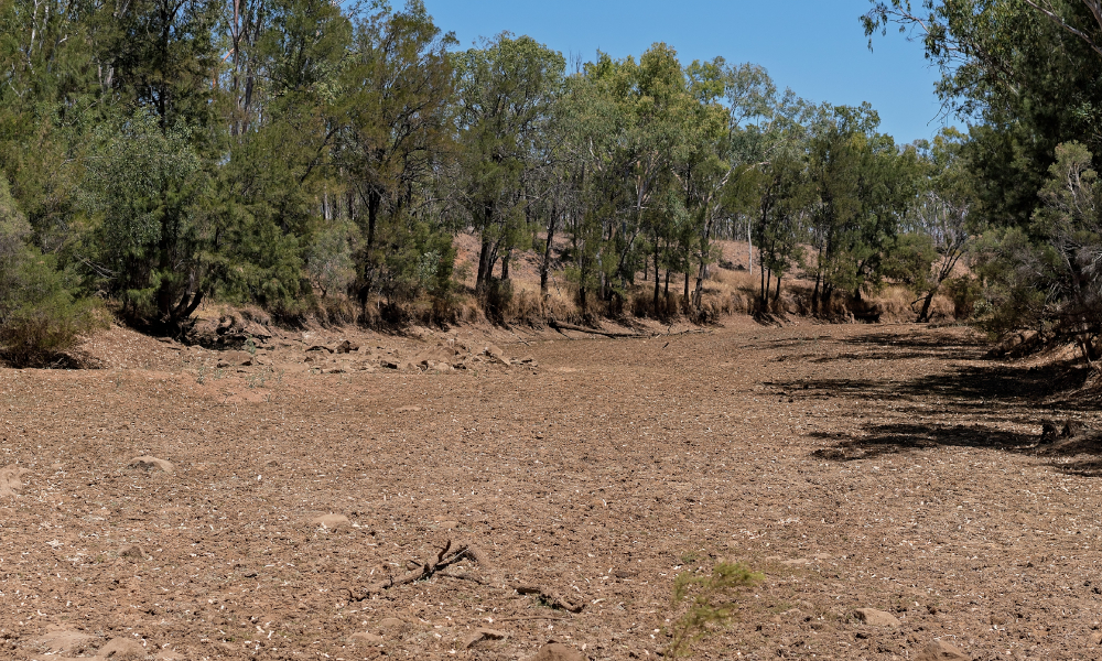 drought dry australia creek bed stock image