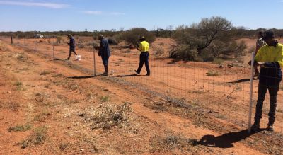 Green light for WA state barrier fence