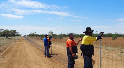 Wire & steel fence posts economic backbone for Qld